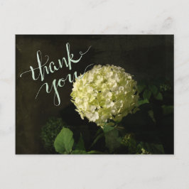 Annabelle Hydrangea Vielen Dank Postkarte