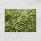 Annabelle Hydrangea Wedding Website Card Begleitkarte (Rückseite)