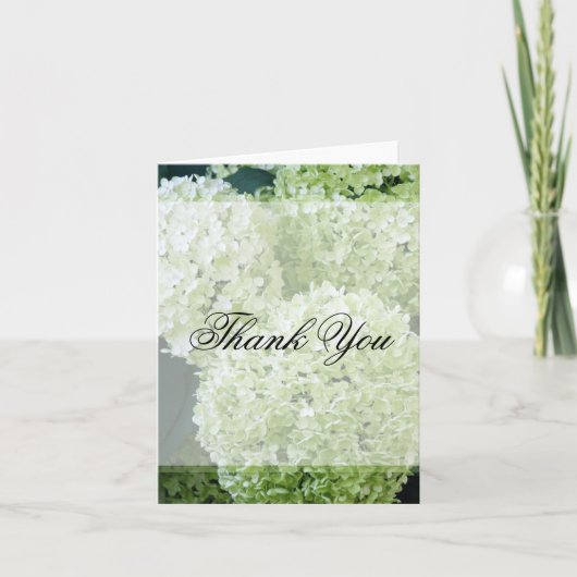 Annabelle Hydrangeas Vielen Dank Dankeskarte (Vorderseite)