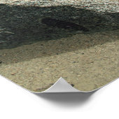 Annäherung an den Kings Canyon Poster (Ecke)