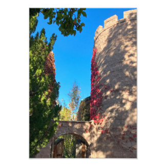 Annäherung an die Burg Fotodruck
