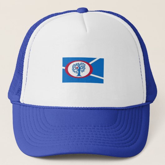 ANNANDALE VIRGINIA TRUCKERKAPPE (Vorderseite)