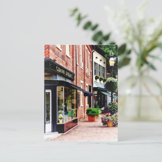 Annapolis MD - Along Staat Circle Postkarte (Stehend Vorderseite)