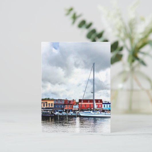 Annapolis Md - City Dock Postkarte (Stehend Vorderseite)