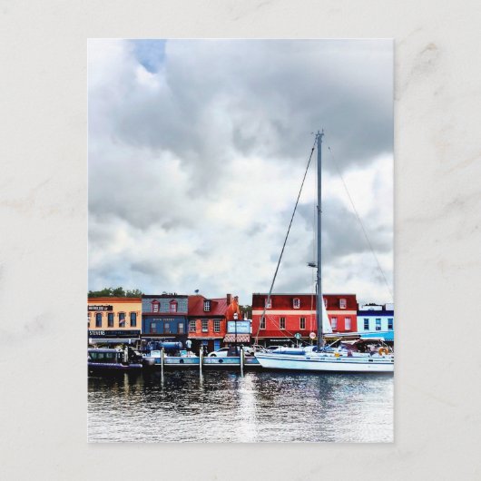 Annapolis Md - City Dock Postkarte (Vorderseite)