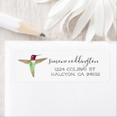 Anna's Hummingbird (Insitu)