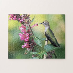Anna's Hummingbird auf den Anise Hyssop-Blume Puzzle