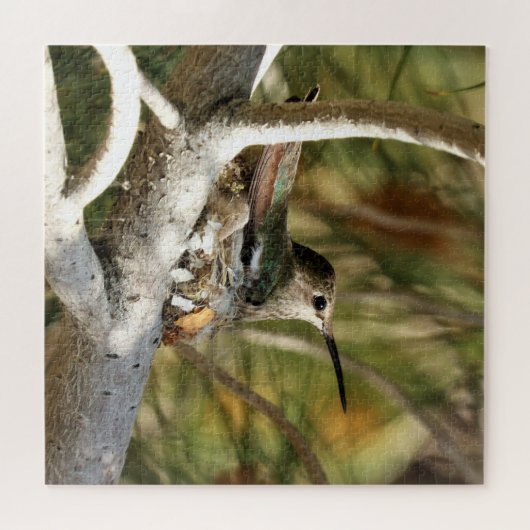 Anna's Hummingbird auf Nest Puzzle (Horizontal)
