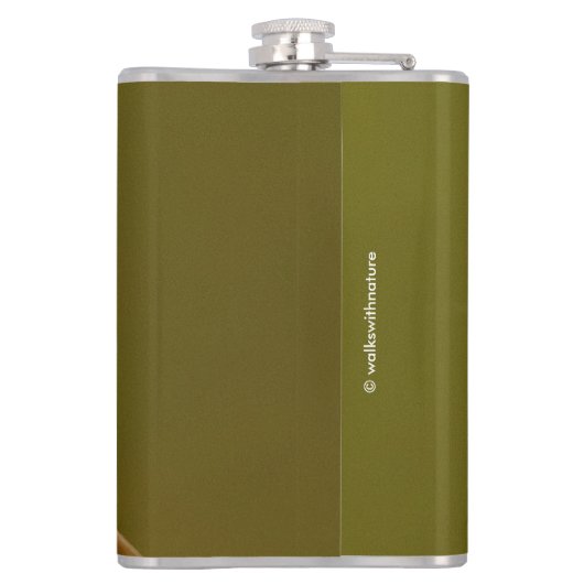 Anna's Hummingbird auf Scarlet Trumpetvine Flachmann (Rückseite)