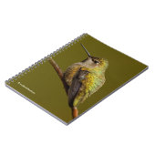 Anna's Hummingbird auf Scarlet Trumpetvine Notizblock