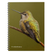 Anna's Hummingbird auf Scarlet Trumpetvine Notizblock (Vorderseite)
