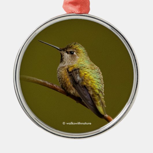 Anna's Hummingbird auf Scarlet Trumpetvine Ornament Aus Metall (Vorne)