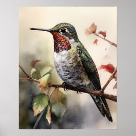 Anna's Hummingbird Bird Art Print Poster