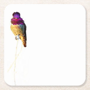 Anna's Hummingbird Foto Paper Untersetzer
