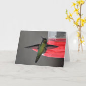 Anna's Hummingbird Framework Art Card Karte (Gelbe Blume)
