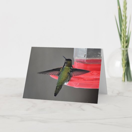 Anna's Hummingbird Framework Art Card Karte (Vorderseite)