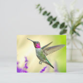 Anna's Hummingbird im Flug Postkarte (Stehend Vorderseite)
