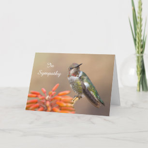 Anna's Hummingbird im Orange Aloe Beileid Karte