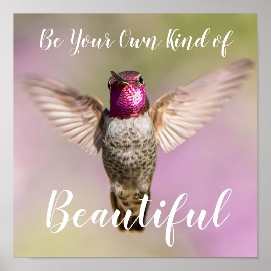 Anna's Hummingbird Inspiration Beauty Poster (Vorne)