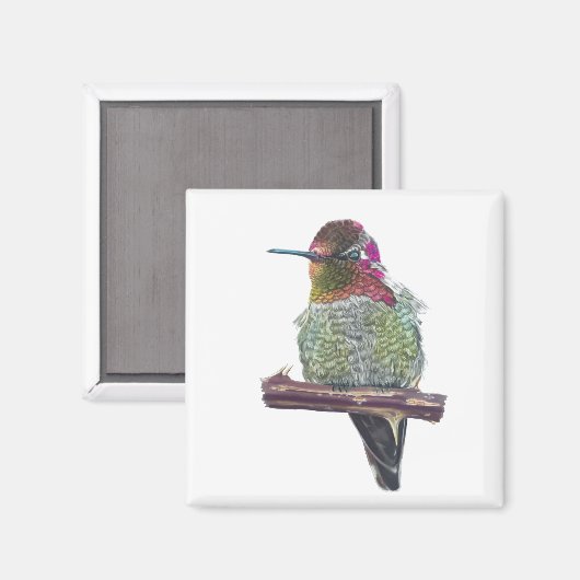 Anna's Hummingbird Magnet (Vorderseite/Rückseite)