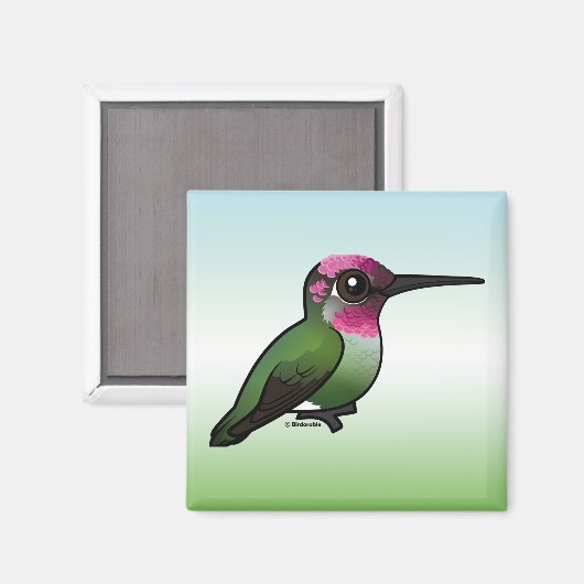 Anna's Hummingbird Magnet (Vorderseite/Rückseite)
