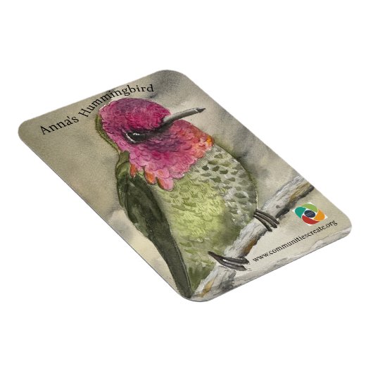 Anna's Hummingbird-Magnet Magnet (Rechte Seite)