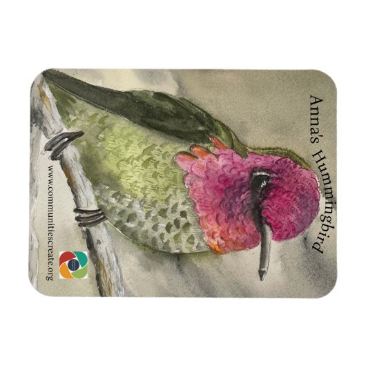 Anna's Hummingbird-Magnet Magnet (Horizontal)