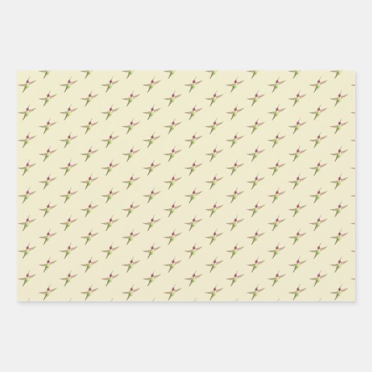 Anna's Hummingbird-Musterschablone Geschenkpapier Set (Vorderseite 3)
