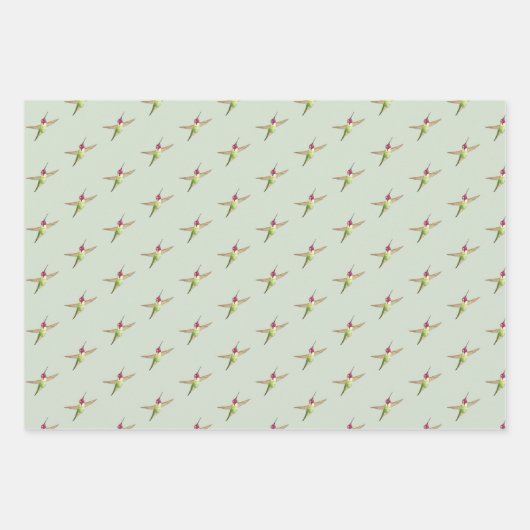 Anna's Hummingbird-Musterschablone Geschenkpapier Set (Vorderseite 2)