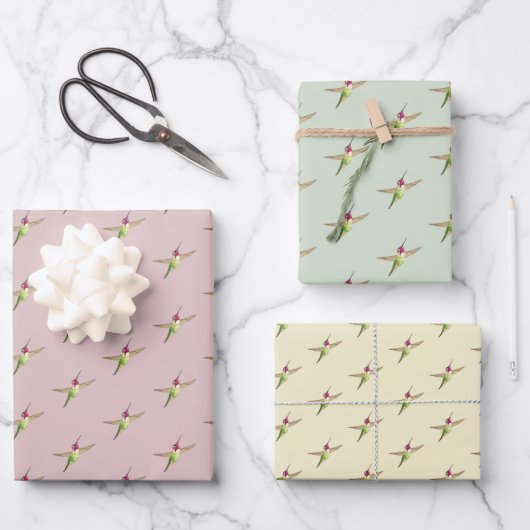 Anna's Hummingbird-Musterschablone Geschenkpapier Set (Vorderseite)