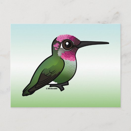 Anna's Hummingbird Postkarte (Vorderseite)