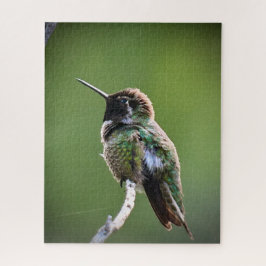 Anna's Hummingbird Puzzle