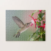 Anna's Hummingbird Puzzle (Horizontal)