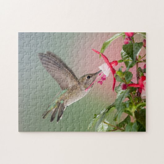 Anna's Hummingbird Puzzle (Horizontal)