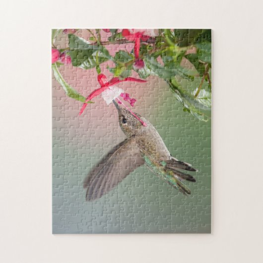 Anna's Hummingbird Puzzle (Vertikal)