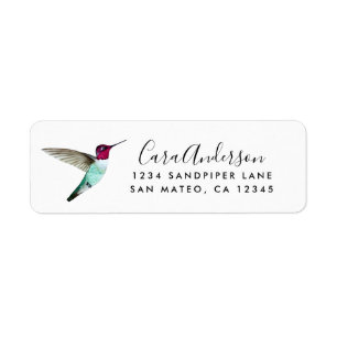 Anna's Hummingbird-Rücksendeadresse