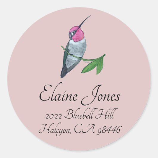 Anna's Hummingbird Runder Aufkleber (Vorderseite)