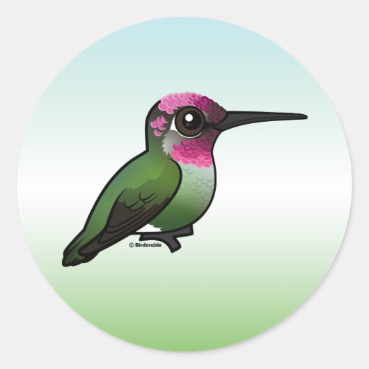 Anna's Hummingbird Runder Aufkleber (Vorderseite)