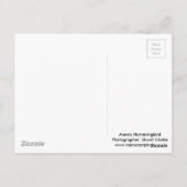 Anna's Hummingbird und Fuschia Postkarte (Rückseite)