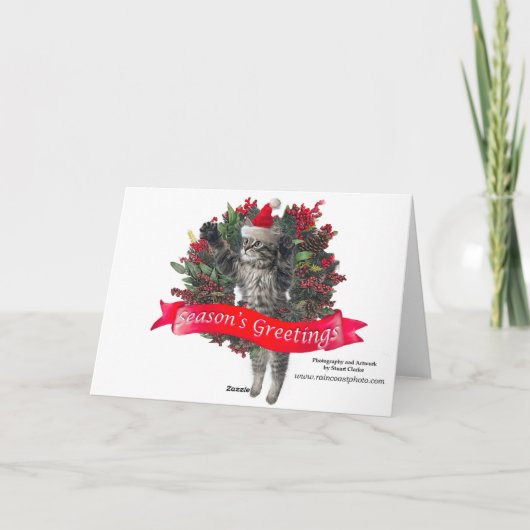 Anna's Hummingbird Weihnachten (Rückseite)