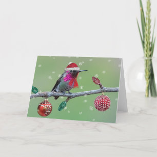 Anna's Hummingbird Weihnachten