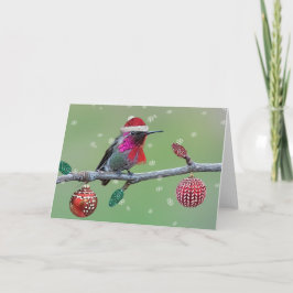 Anna's Hummingbird Weihnachten