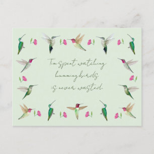 Anna's Hummingbirds Postkarte