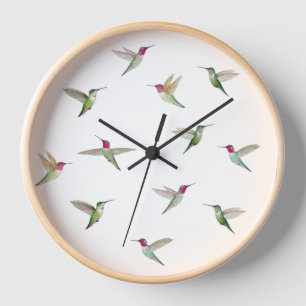 Anna's Hummingbirds Uhr