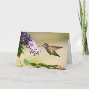 Annas Kolibri Grußkarte leer Feiertagskarte