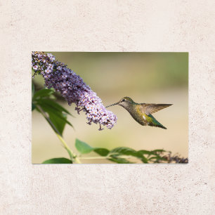 Annas Kolibri Grußkarte leer Feiertagskarte