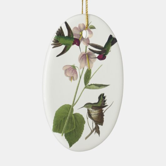 Annas Kolibri, James Audubon Keramikornament (Rechts)