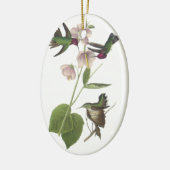 Annas Kolibri, James Audubon Keramikornament (Links)