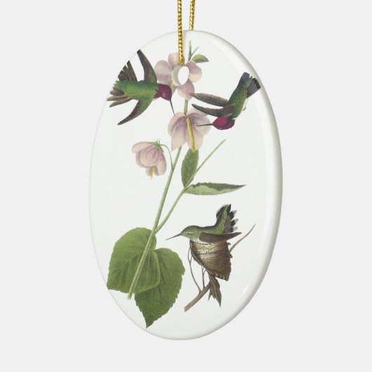 Annas Kolibri, James Audubon Keramikornament (Links)