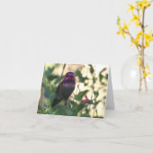 Annas Kolibri - Joe Sweeney - Karte (Gelbe Blume)